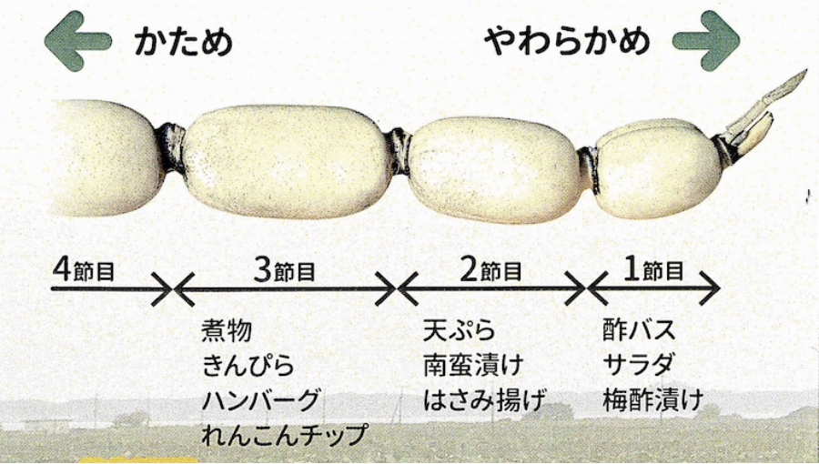 節ごとの料理提案画像