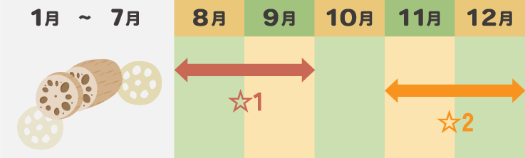 れんこんの栽培こよみ